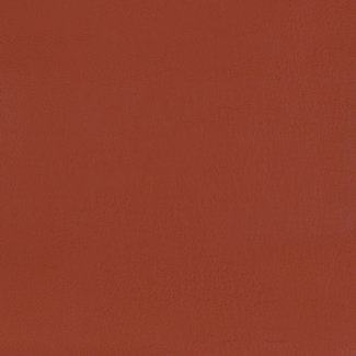 Swatch image for 503 Bulgarian Red